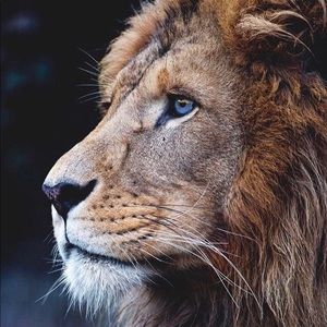 Meet your Posher, Edgar luna